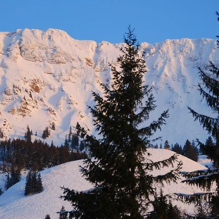 Fewo Heitmann Oberjoch Exterior photo
