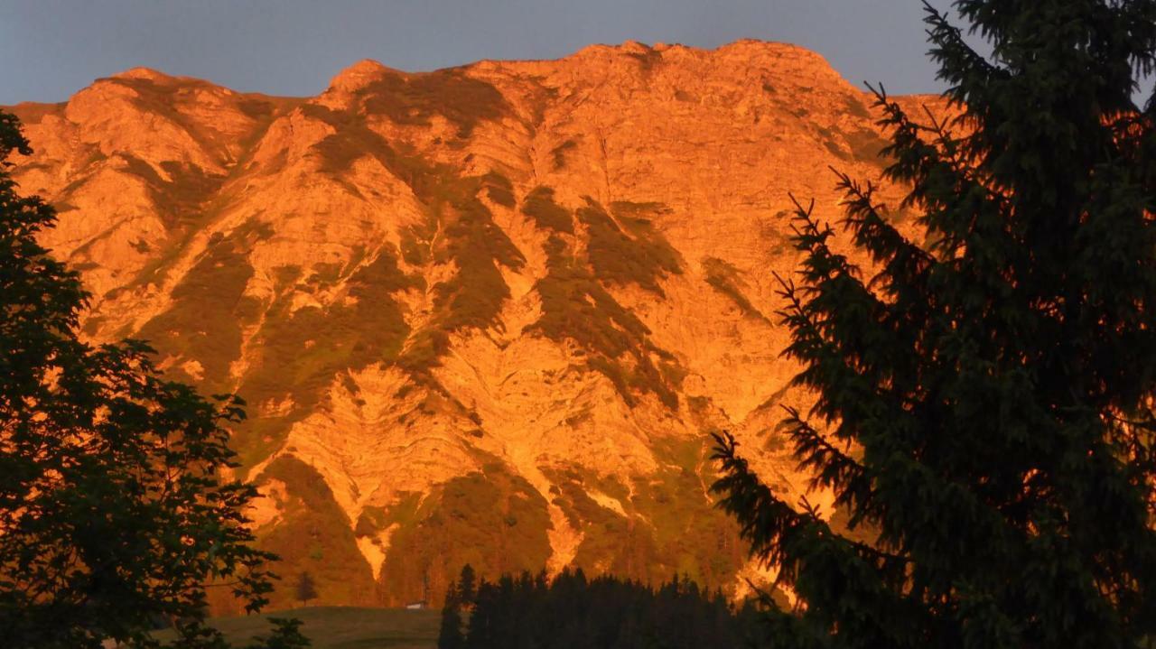 Fewo Heitmann Oberjoch Exterior photo
